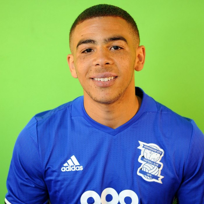 Che Adams